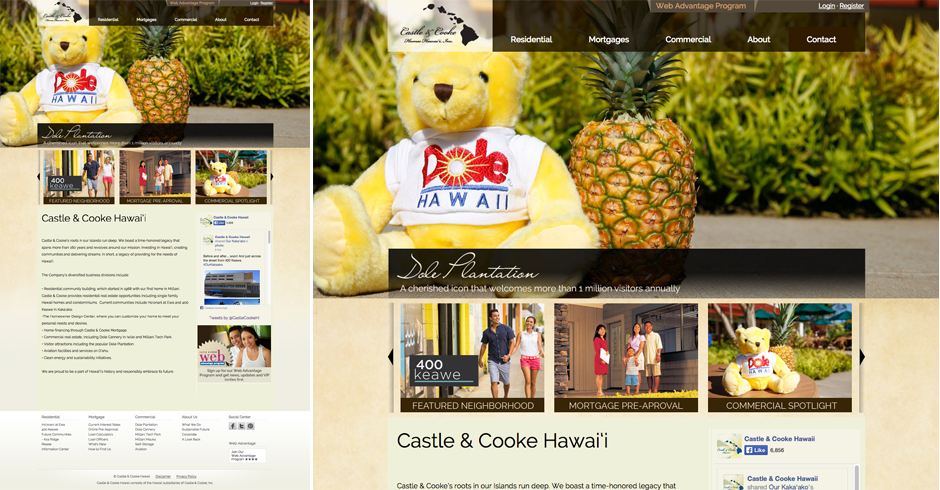 Dole Plantation, Castle & Cooke Hawaii, Web Site Deisgn, Web Design, Hawaii Web Site Design, Team Vision Marketing agency