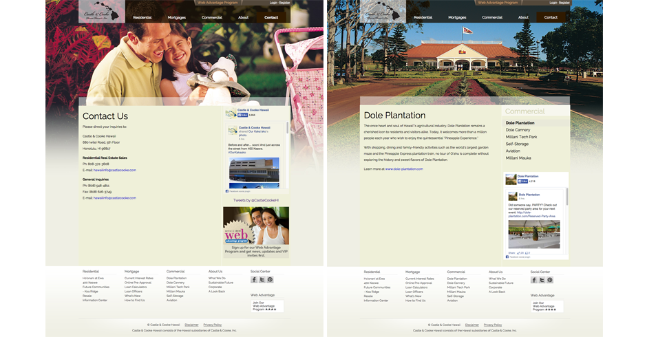 Hawaii Web Design, Web Design, Castle & Cooke Hawaii, Team Vision Marketing agency