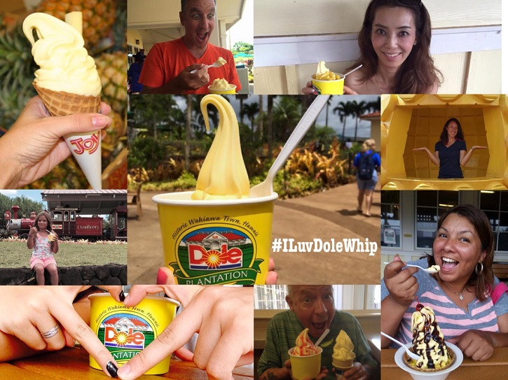 Dole Plantation, Hawaii, Social Media, Marketing, Advertising, Honolulu