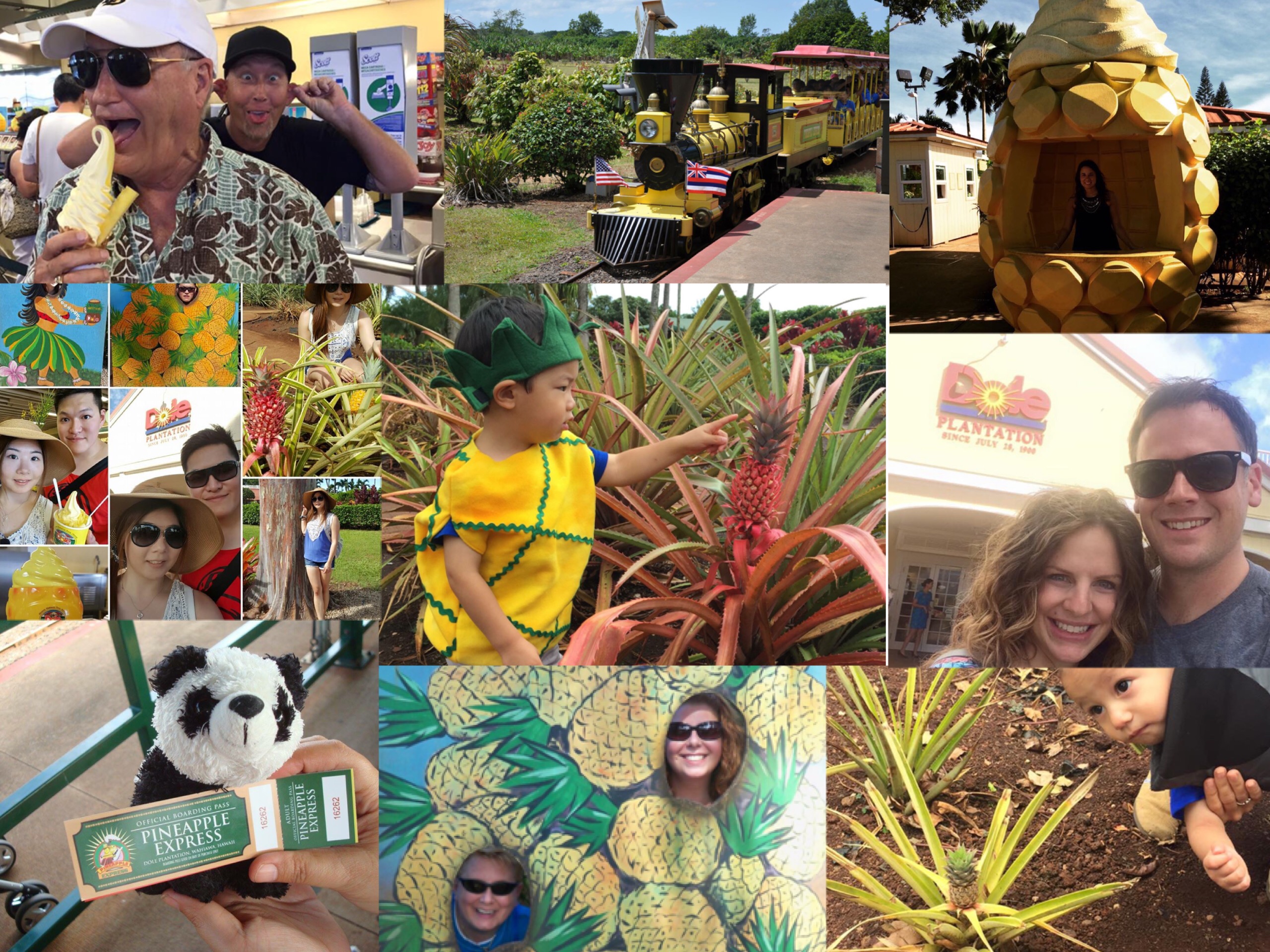 Dole Plantation, Social Media, Marketing, Online Marketing, advertising