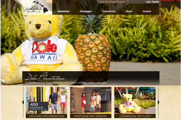 Hawaii Web Design, Honolulu, Web development, Castle & Cooke Hawaii, Team Vision Marketing