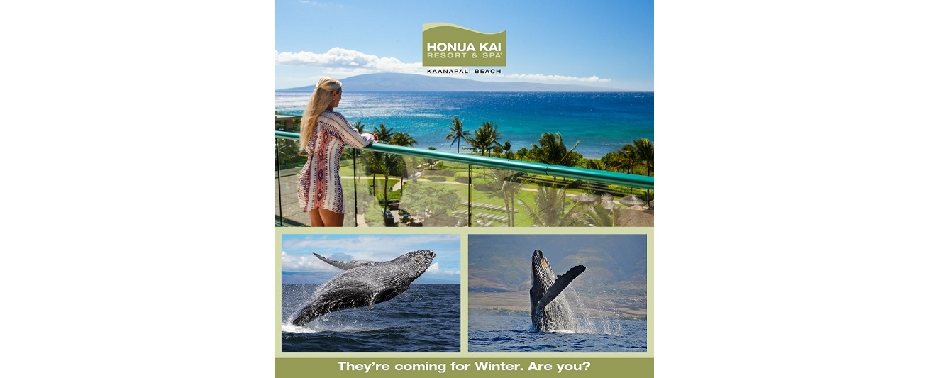 Honua Kai Resort Online Banner Advertising