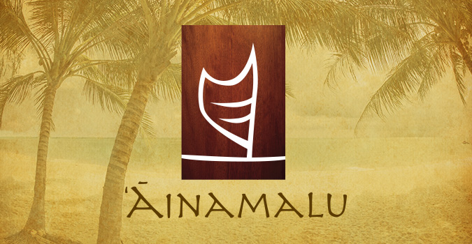 Hawaii Logo Design Agency, Ainamalu at Waikoloa , logo design, Big Island, Luxury Real Estate, Team Vision Marketing