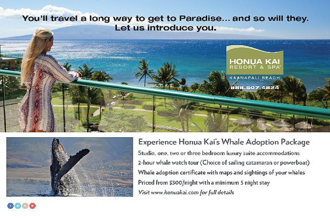 Hawaii Advertising, Branding, Agencies, Agency, Team Vision Marketing