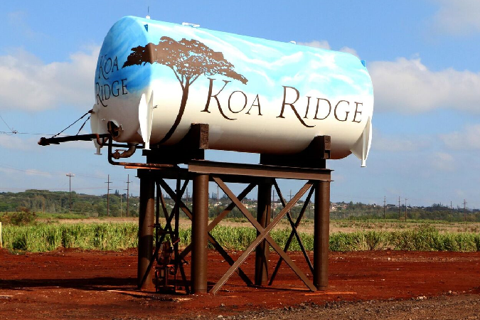 Water Tank Mural, Castle & Cooke, Hawaii advertising, markeiting, Team Vision Agency