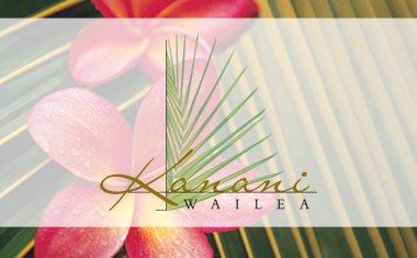 Maui Logo Design, Hawaii Logo Design, Logos , logo designers, branding, Team Vision Markeitng agnecy