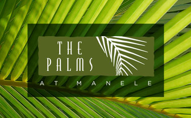 Logo Design, Honolulu, Hawaii, Lanai, Branding, Brand Identity, Team Vision Marketing