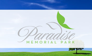 Hawaii logo design, honolulu logo design, logo design, branding, Team Vision Marketing