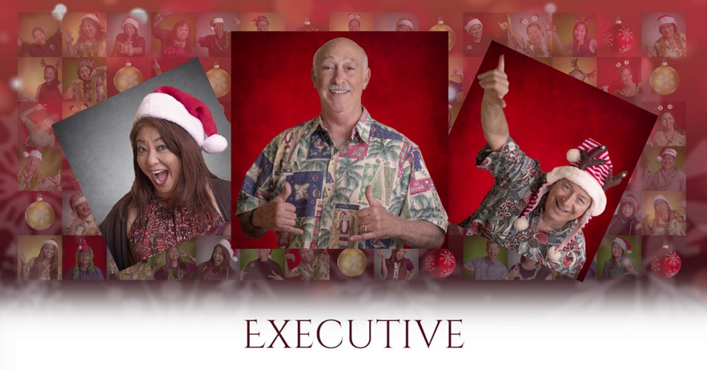 Hawaii social media, social media management, Castle & Cooke Hawaii, Christmas countdown, Team Vision Marketing