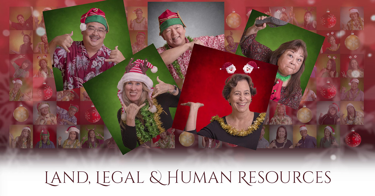 Hawaii Social media, social media marketing, Christmas Countdown, Team Vision Marketing