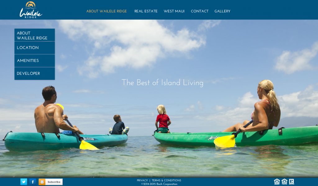 Hawaii Web Design, Maui Web Design, Branding , Real Estate Marketing, Wailele Ridge, Team Vision Marketing
