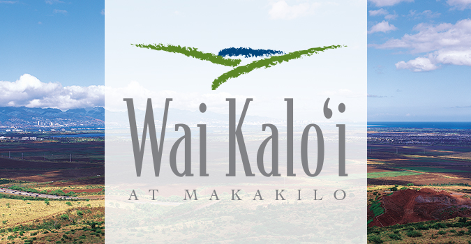 Wai Kalo'i, Makakilo, Logo Design, Hawaii logo design, oahu logo, hawaii branding, hawaii logo, oahu, team vision marketing agency