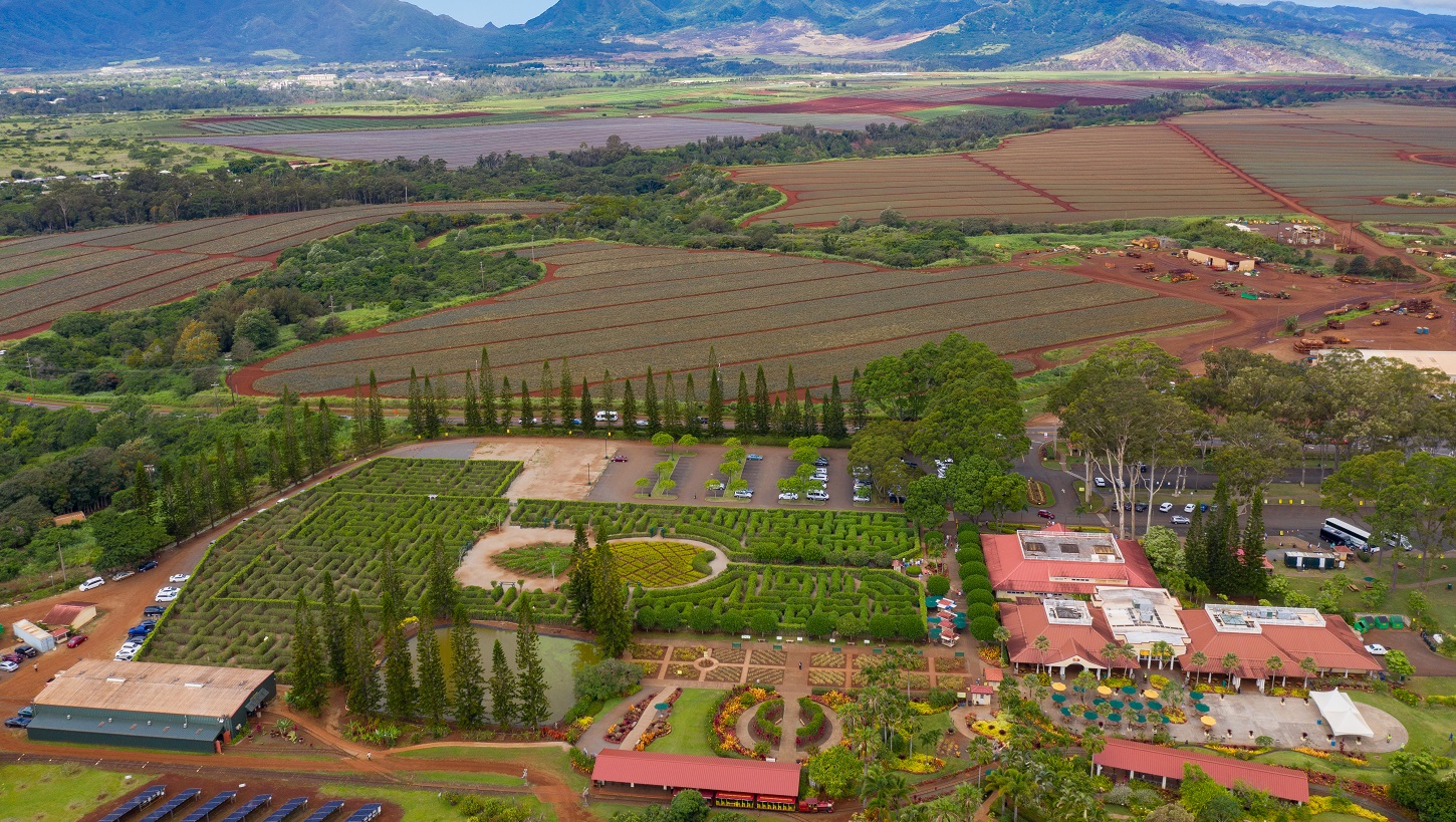 Hawaii Commercial drone photography, Advertising Agencies, Dole Plantation, Team Vision Marketing