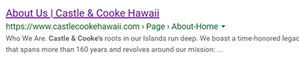 Hawaii SEO - Basic Google Result Feature - Hawaii SEO