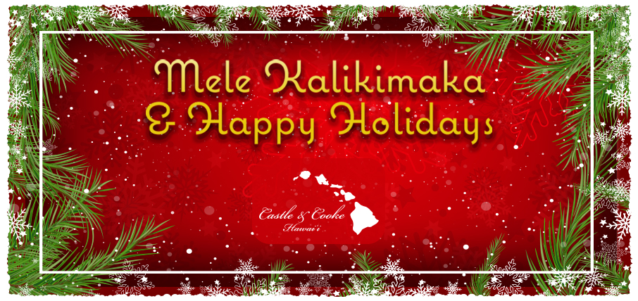 video development, video editing, hawaii, honolulu agency, marketing, advertising, branding, corporate video, holiday video, corporate branding, team vision marketing