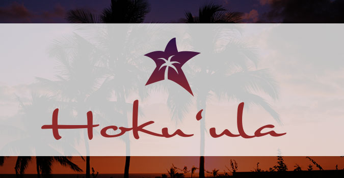 Hawaii Logo Design, Oahu, Maui, Honolulu, Hokuula, Real Estate Marketing, Team Vision