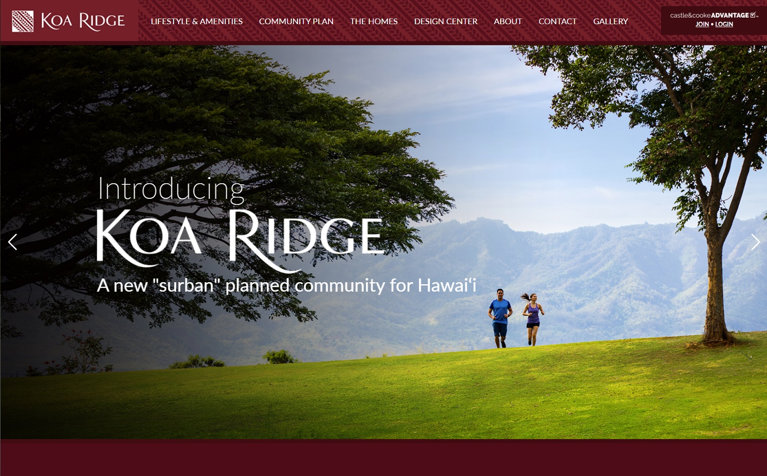 Hawaii Web Design, Social Media, Koa Ridge, Branding, Advertising Agencies