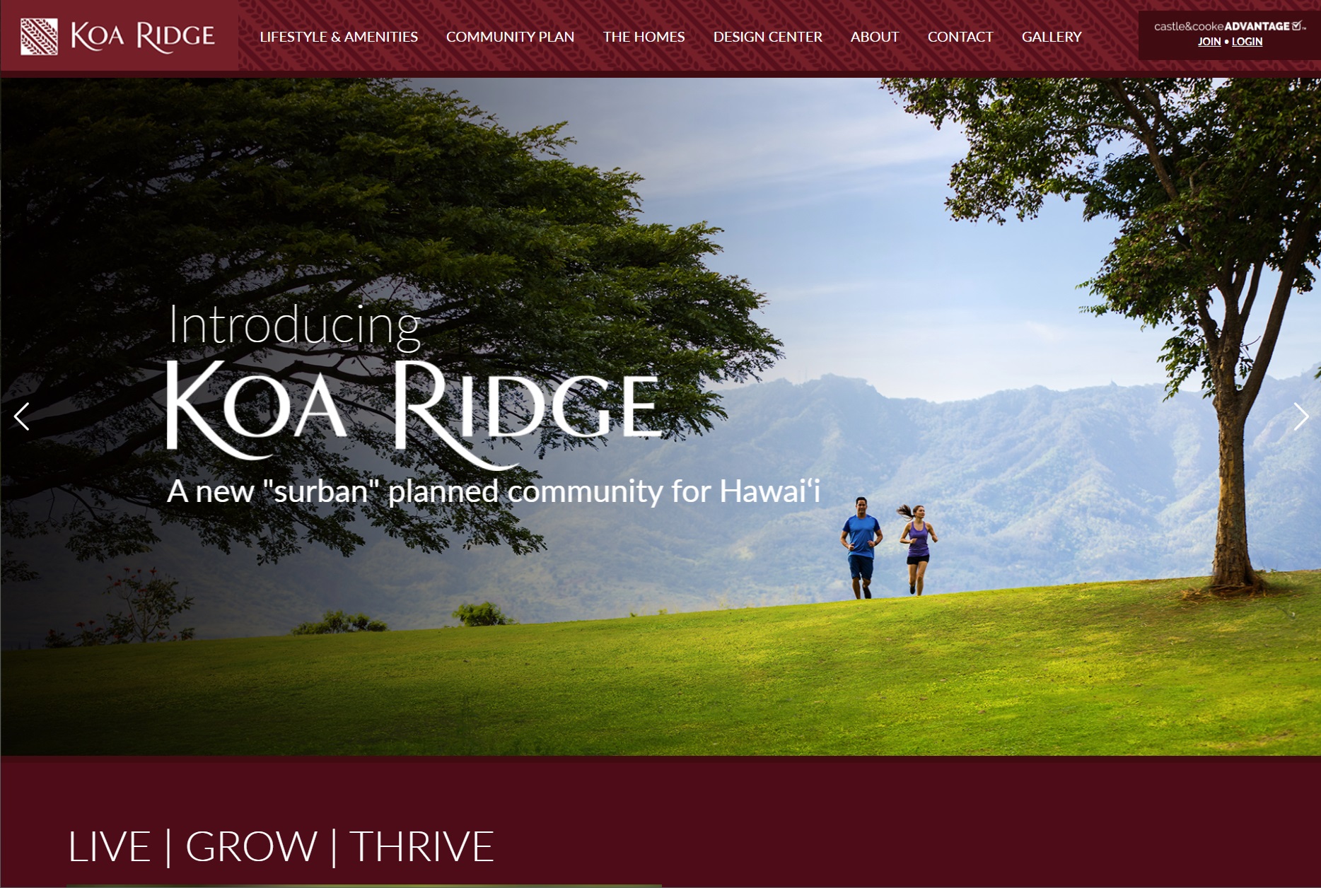 Koa Ridge Web site by Team Vision Marketing Agency