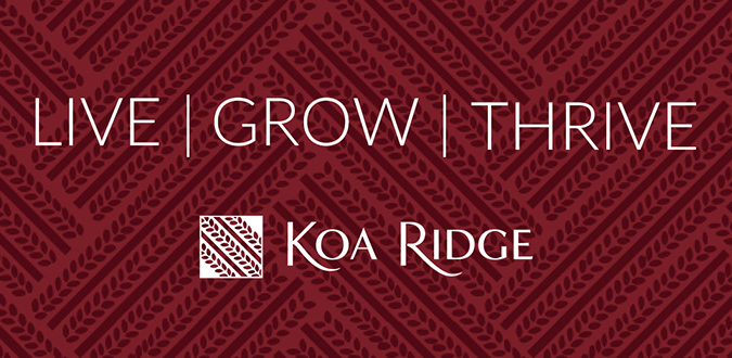 Koa Ridge branding organic social media marketing created by Team Vision Marketing