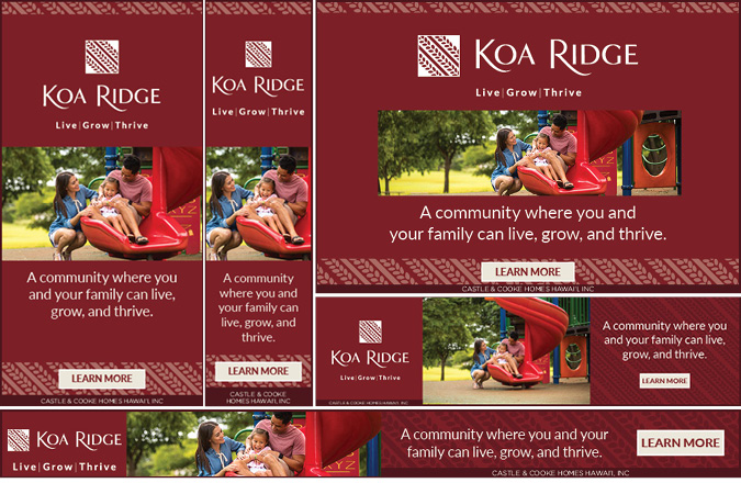 "Live, grow, thrive" Koa Ridge branding google ads by Team Vision