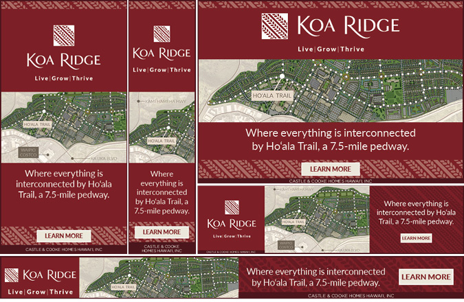 Ho'ala trail - Koa Ridge branding Google display ads