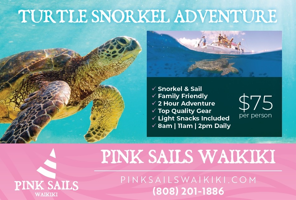 Hawaii Ad Agencies- Team Vision Marketing - Pink Sails